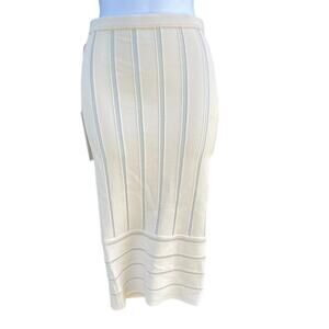 NWT Ronny Kobo Metallic Stripe Molly Skirt in Bone